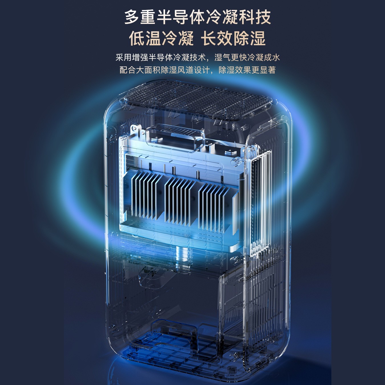 2025新款除湿机浴室地下室用净化抽湿机厂家220V英欧跨境110V美日图4