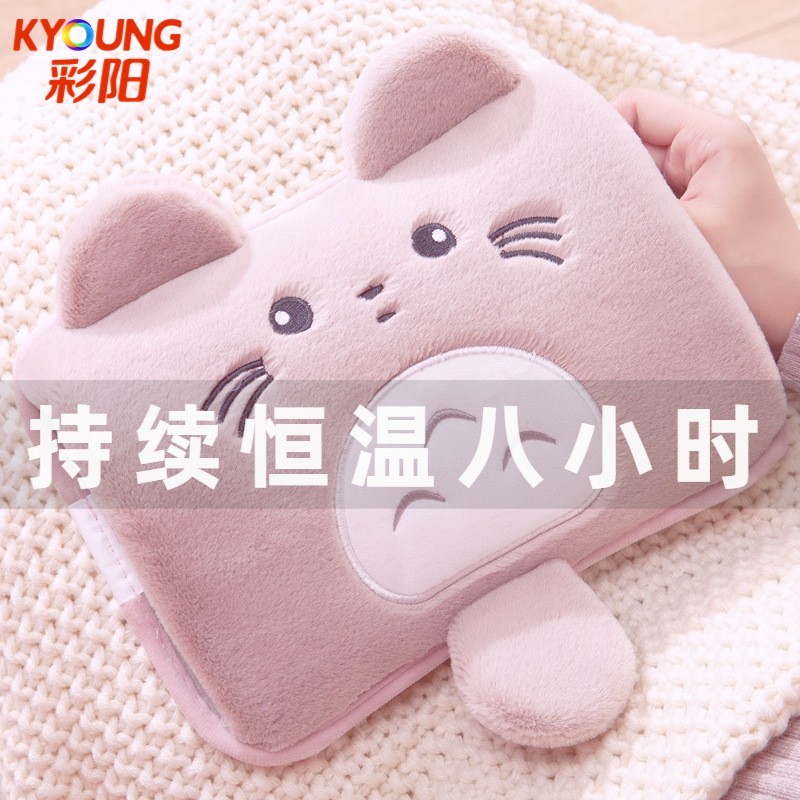 国标热水袋防爆充电暖手宝加厚电暖宝已注水暖水袋速热安全防烫图4