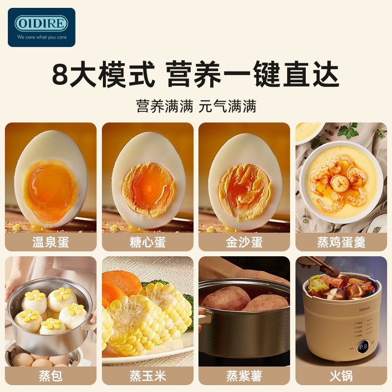 煮蛋器煮鸡蛋多功能小型温泉煮蛋机蒸蛋器防干烧可定时自动断电图2