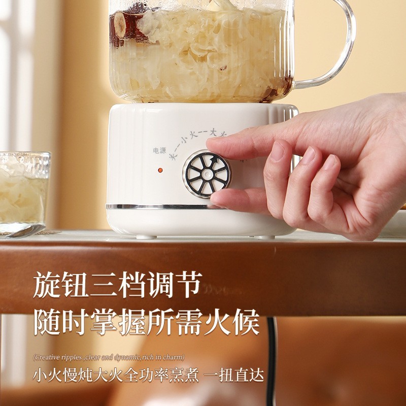 多功能迷你养生杯办公室烧水杯煮茶花茶壶家用小型养生壶图3