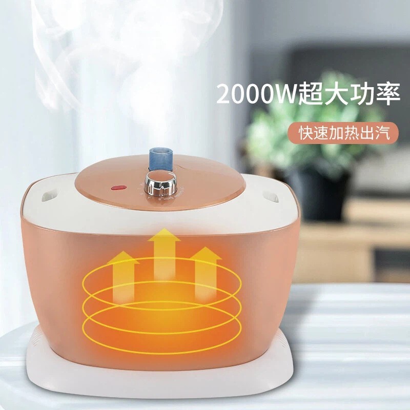 跨境立式商用大功率熨烫机家用大蒸汽电熨斗衣物去皱挂烫机烫衣机图4