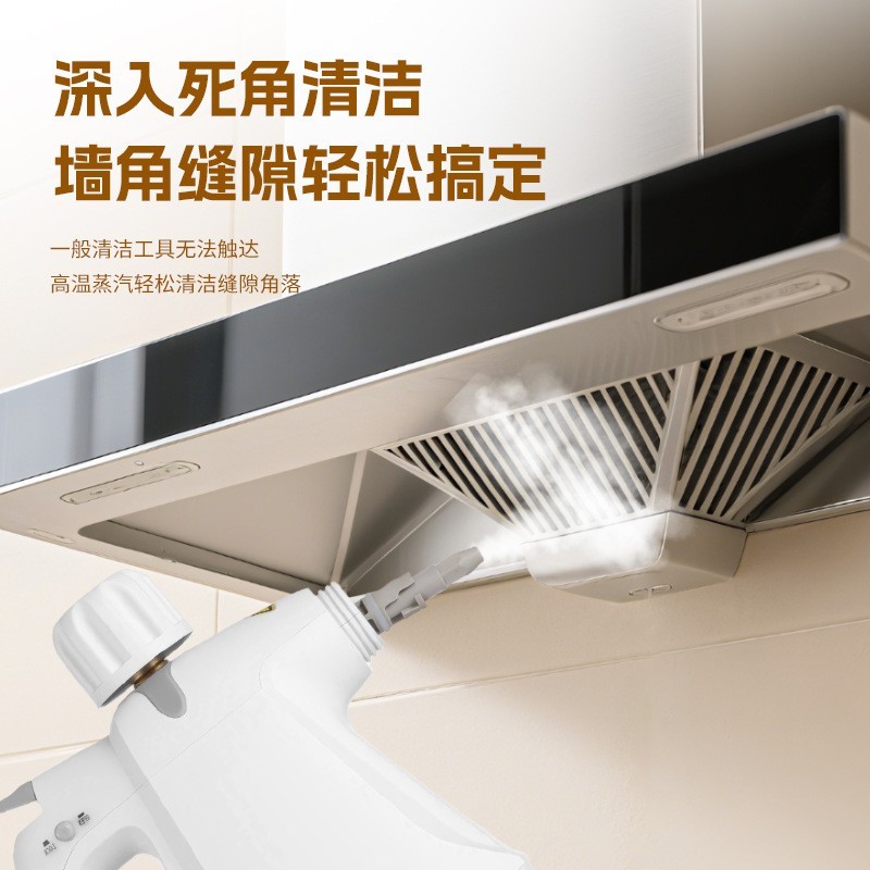 大功率蒸汽清洁机高温蒸汽机 厨房清洗汽车清洁便携式手持蒸汽机图2