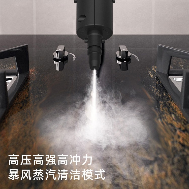 高温蒸汽清洁机线控手柄高压蒸气消毒家用空调油污油烟机清洗机图3