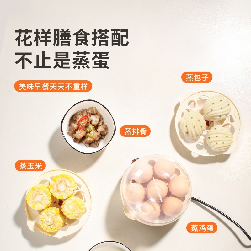 多功能家用小型防干烧煮蛋器自动断电多层蒸蛋器图2