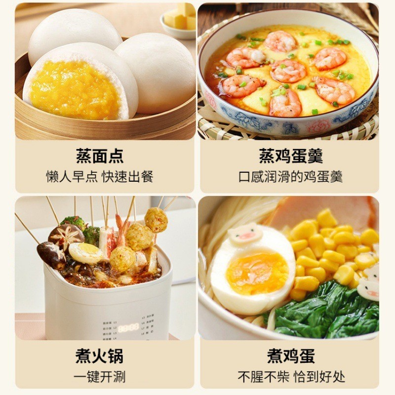 煮蛋蒸蛋器自动断电小型家用电火锅煮粥迷你多功能锅宿舍早餐跨境图2