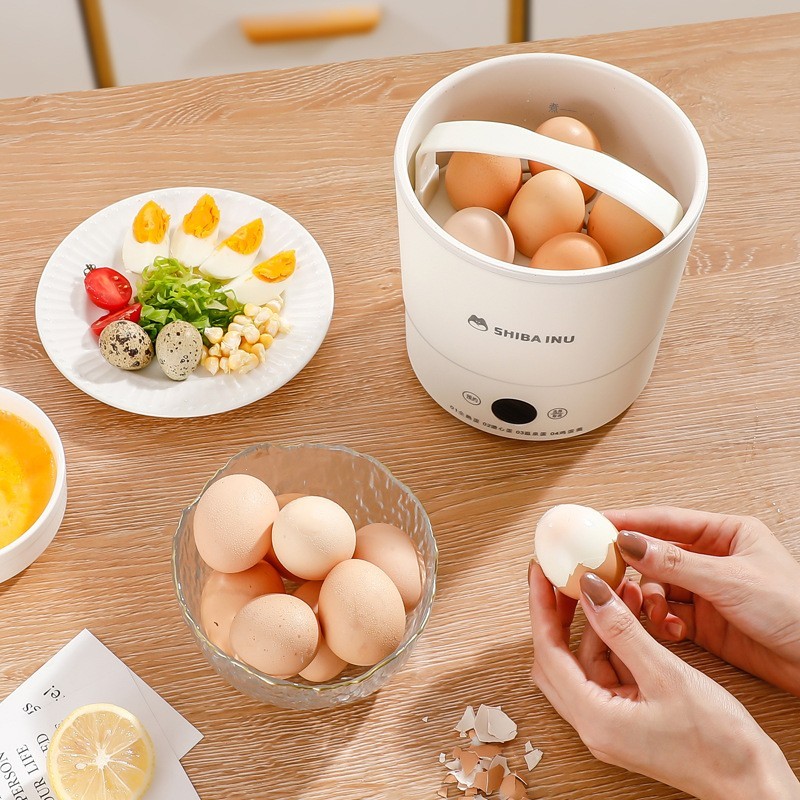 多功能蒸蛋器家用自动断电煮蛋器迷你煮蛋神器溏心蛋温泉蛋早餐机图2