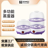 双层多功能家用蒸蛋器防干烧自动断电迷你煮蛋器