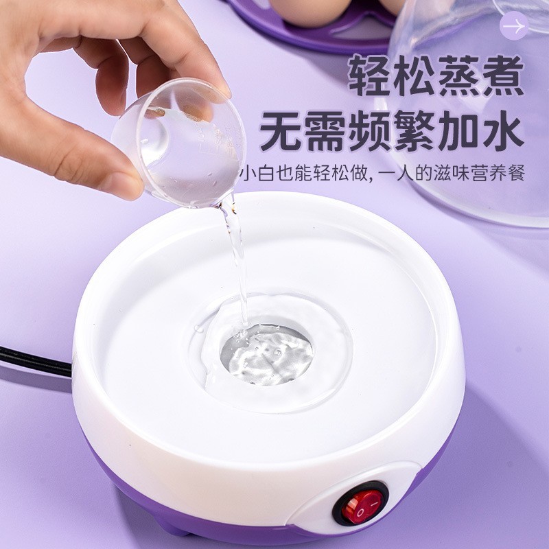 双层多功能家用蒸蛋器防干烧自动断电迷你煮蛋器图4