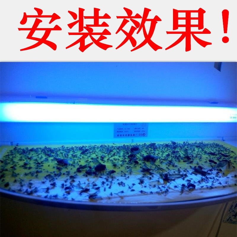 灭蝇灯餐厅饭店用粘捕式灭蚊灯家用驱蚊灯苍蝇灯电子灭蚊器捕蝇器图3