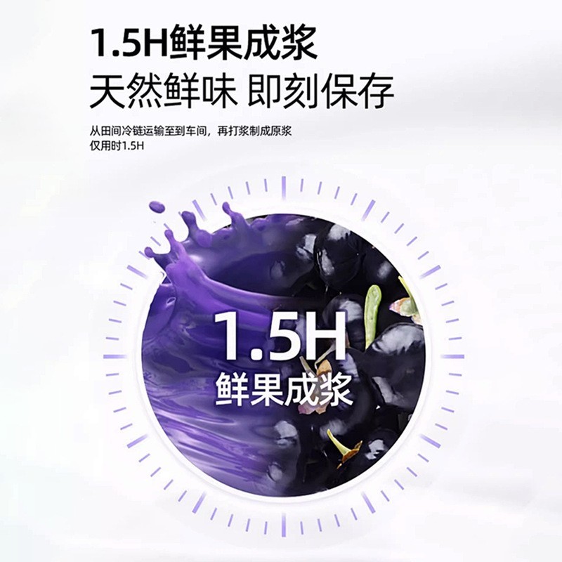 桑葚黑枸杞原浆50ml青海枸杞原浆桑葚原浆植物饮料花青素饮品oem图2