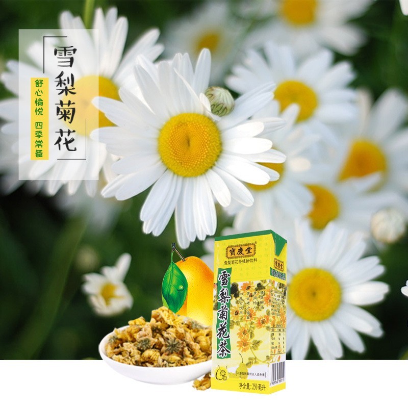 雪梨菊花茶饮料250ml*12盒优质杭白菊秋季饮品清润图2
