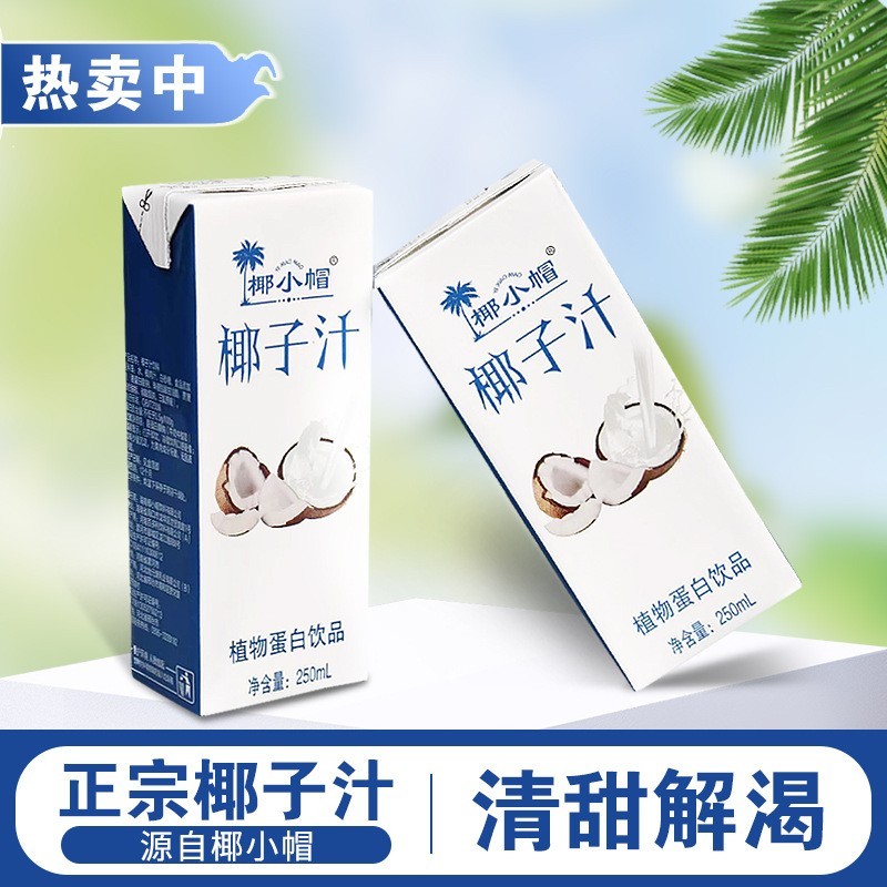 椰子汁250ml10瓶代餐椰奶风味饮料畅饮低脂椰子水图4