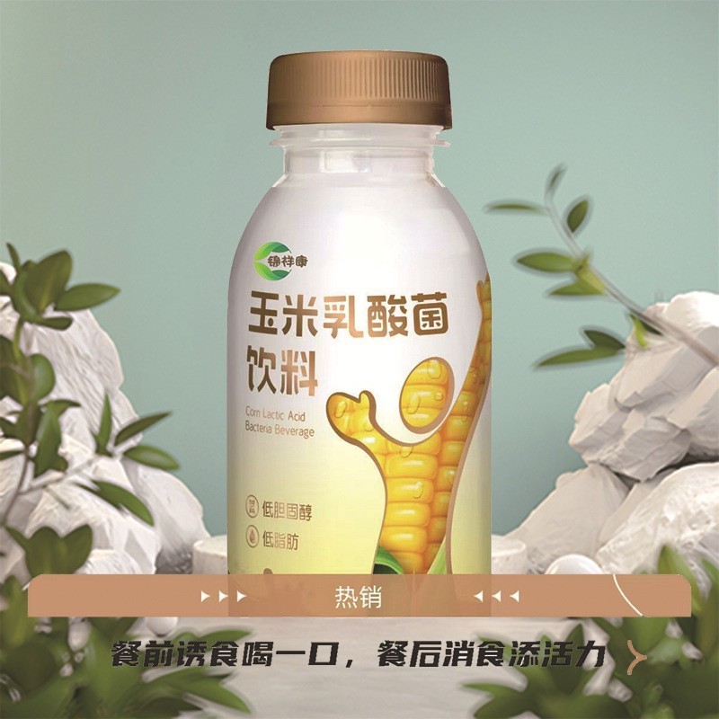 玉米乳酸菌饮料OEM/odm贴牌茶饮料无菌冷灌 定制100ml乳酸菌饮品图3