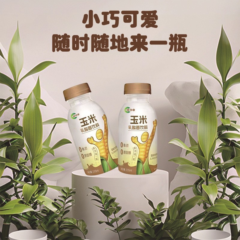 玉米乳酸菌饮料OEM/odm贴牌茶饮料无菌冷灌 定制100ml乳酸菌饮品图4