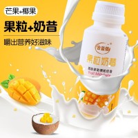 网红代餐奶昔芒果汁饮料学生早餐饮品益生菌含乳果味