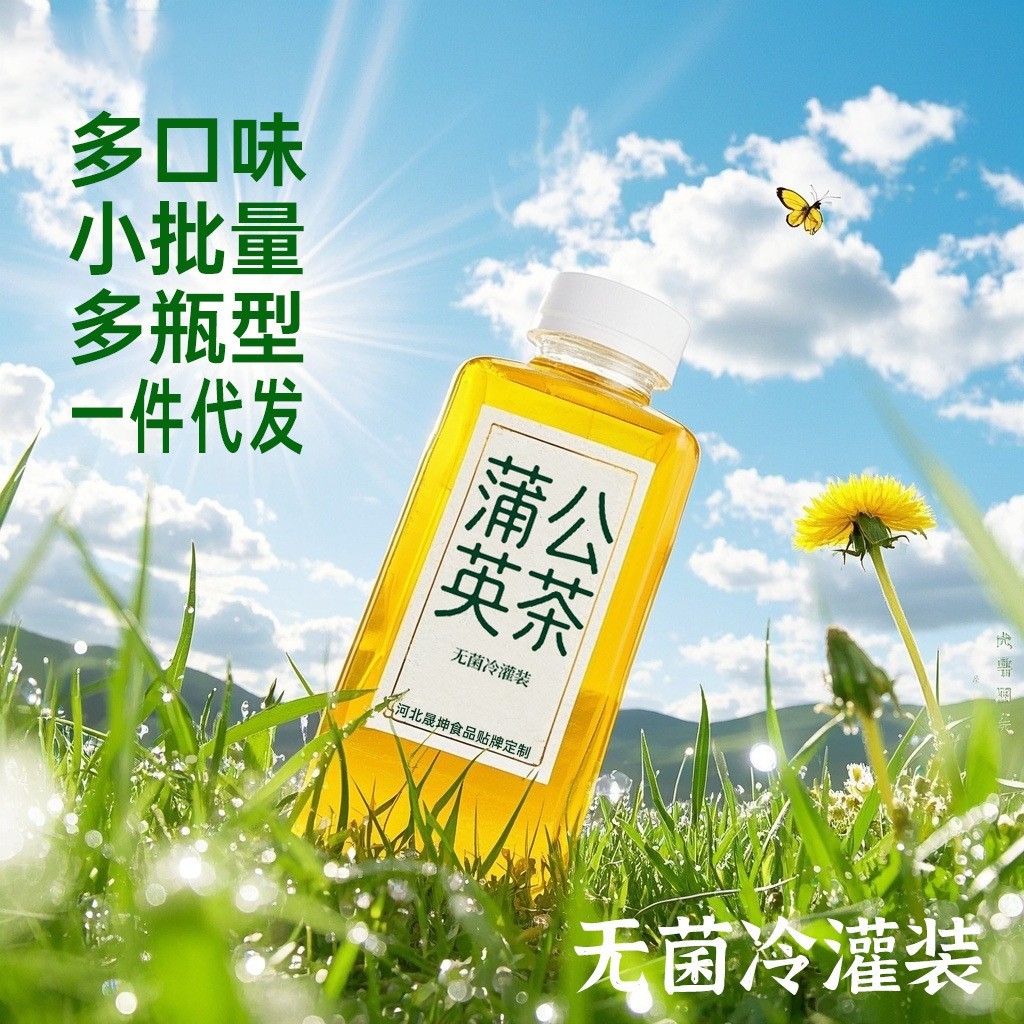 PET瓶蒲公英茶饮料萃取茶无糖茶植物饮料开盖即饮无菌冷灌装代工图2