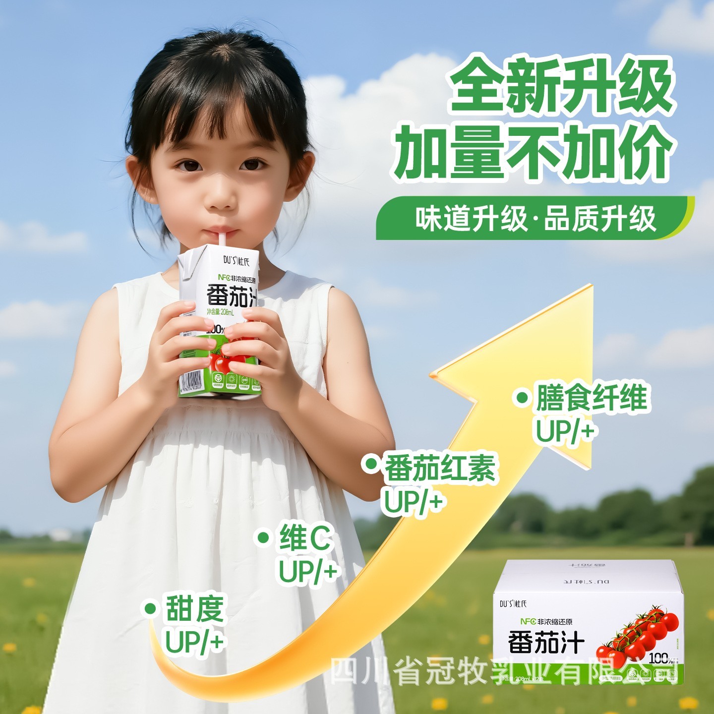 纯番茄汁nfc鲜榨100%果蔬汁0蔗糖无添加剂儿童蔬菜饮料图4