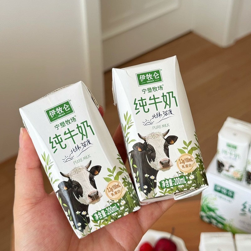 源头工厂可定制纯牛奶200mlx10盒营养早餐奶学生老人纯牛奶代餐奶图4