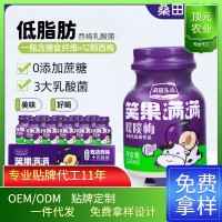 西梅乳酸菌益生元优酸乳益生菌乳制品酸奶风味饮品