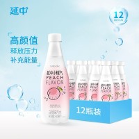 小桃汽白桃口味碳酸饮料桃子味汽水佐餐聚会整