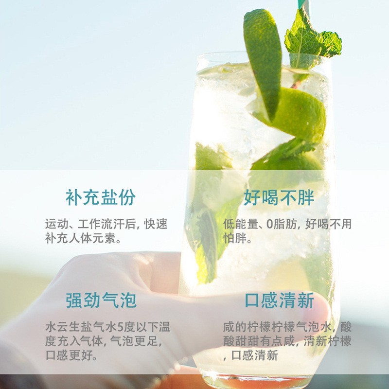 盐汽水碳酸饮料夏季饮品柠檬味气水厂家图4