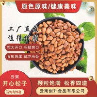 云南开心松子厂家落水松子大颗粒休闲坚果干果零食