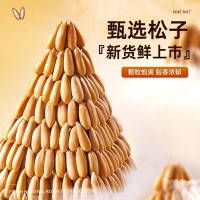 巴西松子罐装500g零食 薄壳易剥原味松子休闲美味 手剥松子坚果