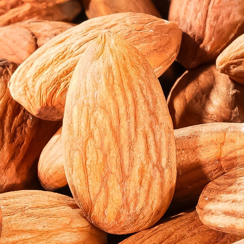 贴牌代工原味巴旦木仁500g杏仁休闲零食坚果厂家跨境专供图4