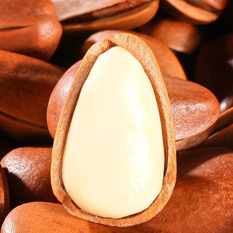 代工东北开口松子大颗粒500g坚果罐装原味干货零食干果野生图3