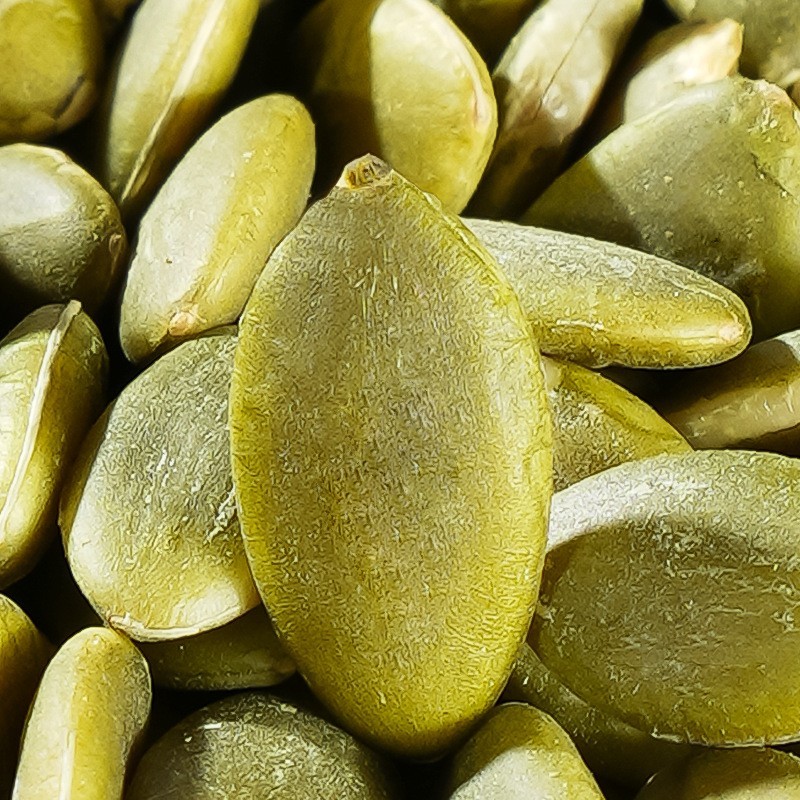 贴牌代工熟原味南瓜子仁500g罐装零食坚果厂家可定制开口手剥香脆图4