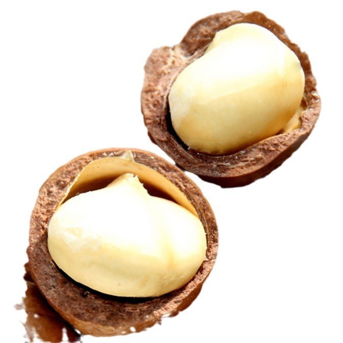 加工定制新货坚果 夏威夷果 厂家 炒货零食图3