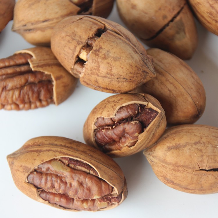 加工定制坚果新货 碧根果特好剥 长寿果 净含量500g/罐图2