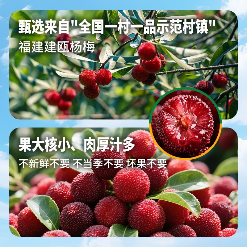 贴牌代工杨梅罐头930g*12大罐水果罐头大颗杨梅商用罐头整箱定制图2