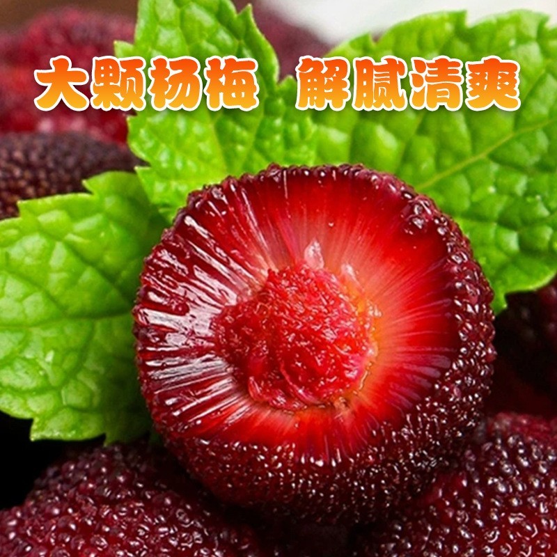 贴牌代工杨梅罐头930g*12大罐水果罐头大颗杨梅商用罐头整箱定制图3