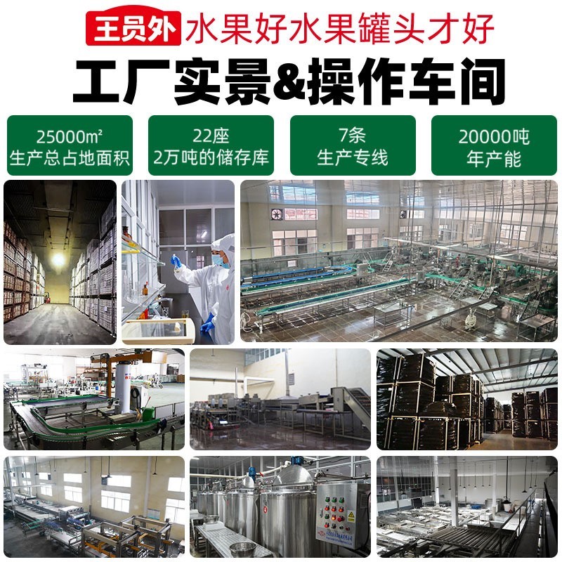 源头工厂贴牌定制桔子罐头新鲜橘子罐头水果罐头出口代工图3