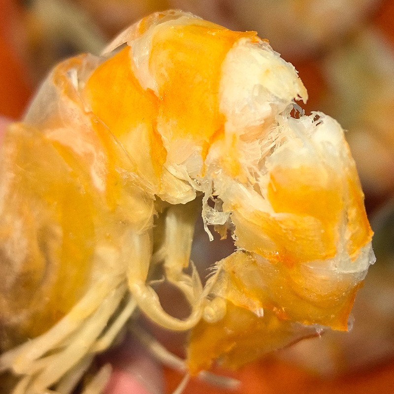 烤虾80g/袋烤虾干休闲零食虾干海鲜水产干货烤虾烘烤咸香中等烤虾图3