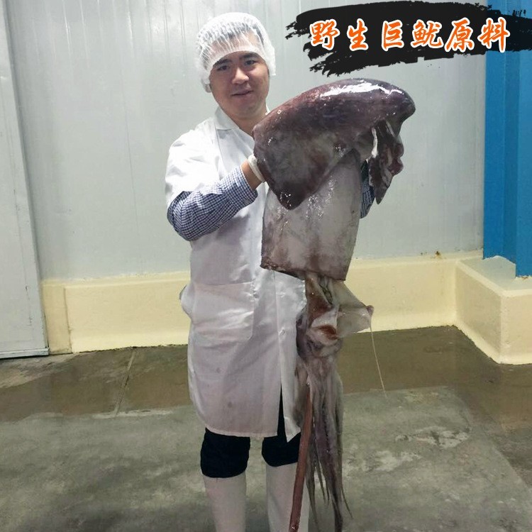 碳烤风琴鱿鱼片手撕鱿鱼丝散装批发休闲零食图2