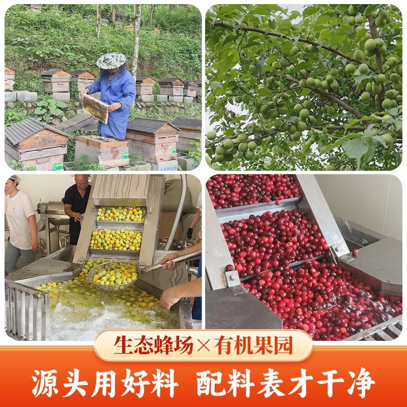 国风零灼感果酒蜂蜜青梅桑葚杨梅水果酒750ml带礼盒订婚酒图2