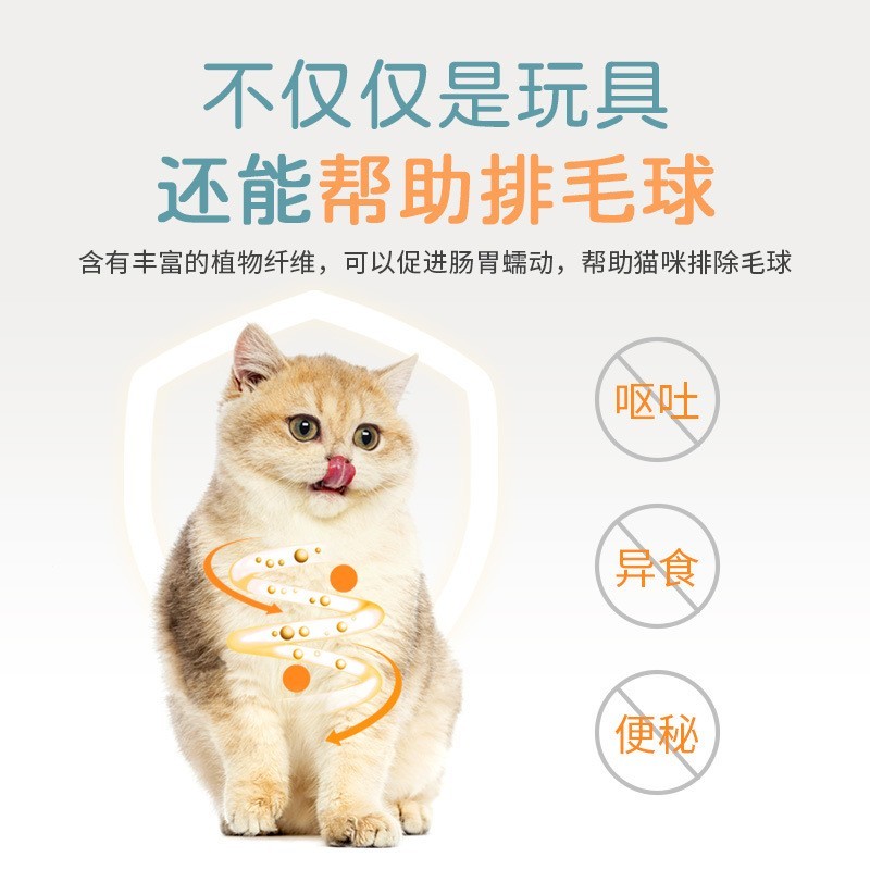 猫咪玩具宠物薄荷球三合一逗猫球旋转球塑料鱼板猫薄荷球零食图2