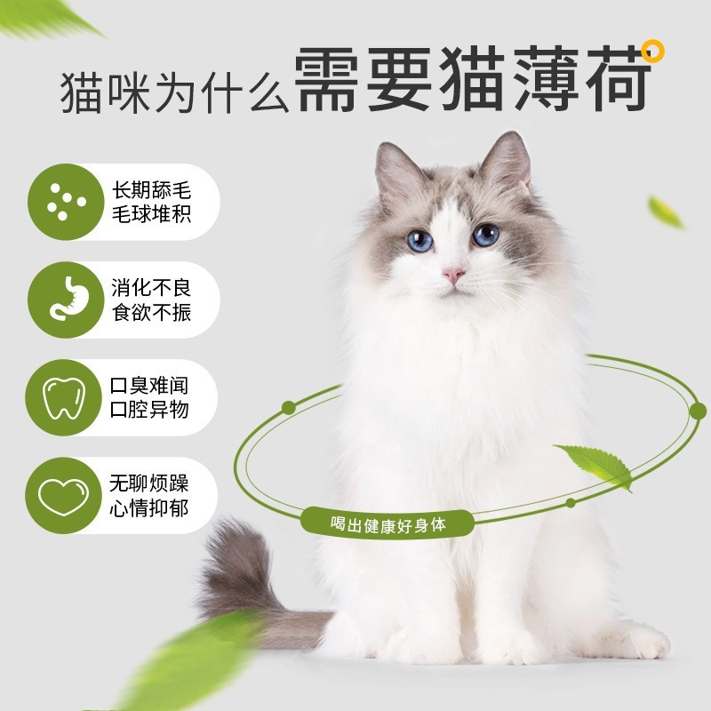 猫薄荷粉10包猫咪零食化毛球猫草粉末成猫小猫促消化四季通用猫茶图4