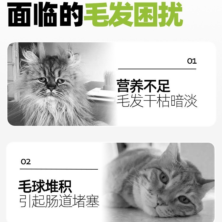 可定制猫咪冻干羊奶棒奶酪小奶猫成幼猫磨牙猫草鱼油洁齿饼干零食图4