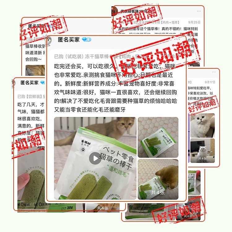 定制猫草棒磨牙棒冻干猫咪零食化毛球即食猫草粒化毛膏猫咪猫草片图2