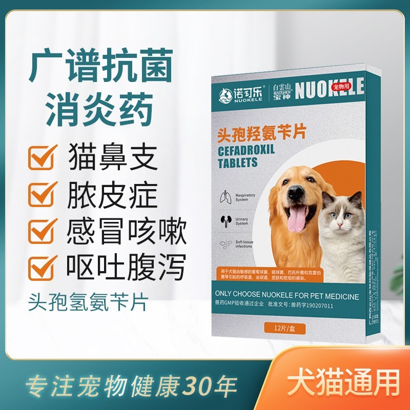 厂家定制代加工宠物头孢羟氨苄片广谱抗菌消炎药专门兽药生产犬用