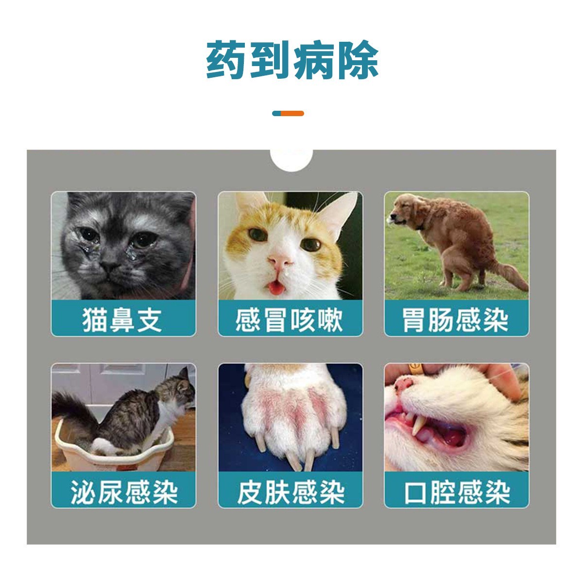 厂家定制代加工宠物头孢羟氨苄片广谱抗菌消炎药专门兽药生产犬用图3