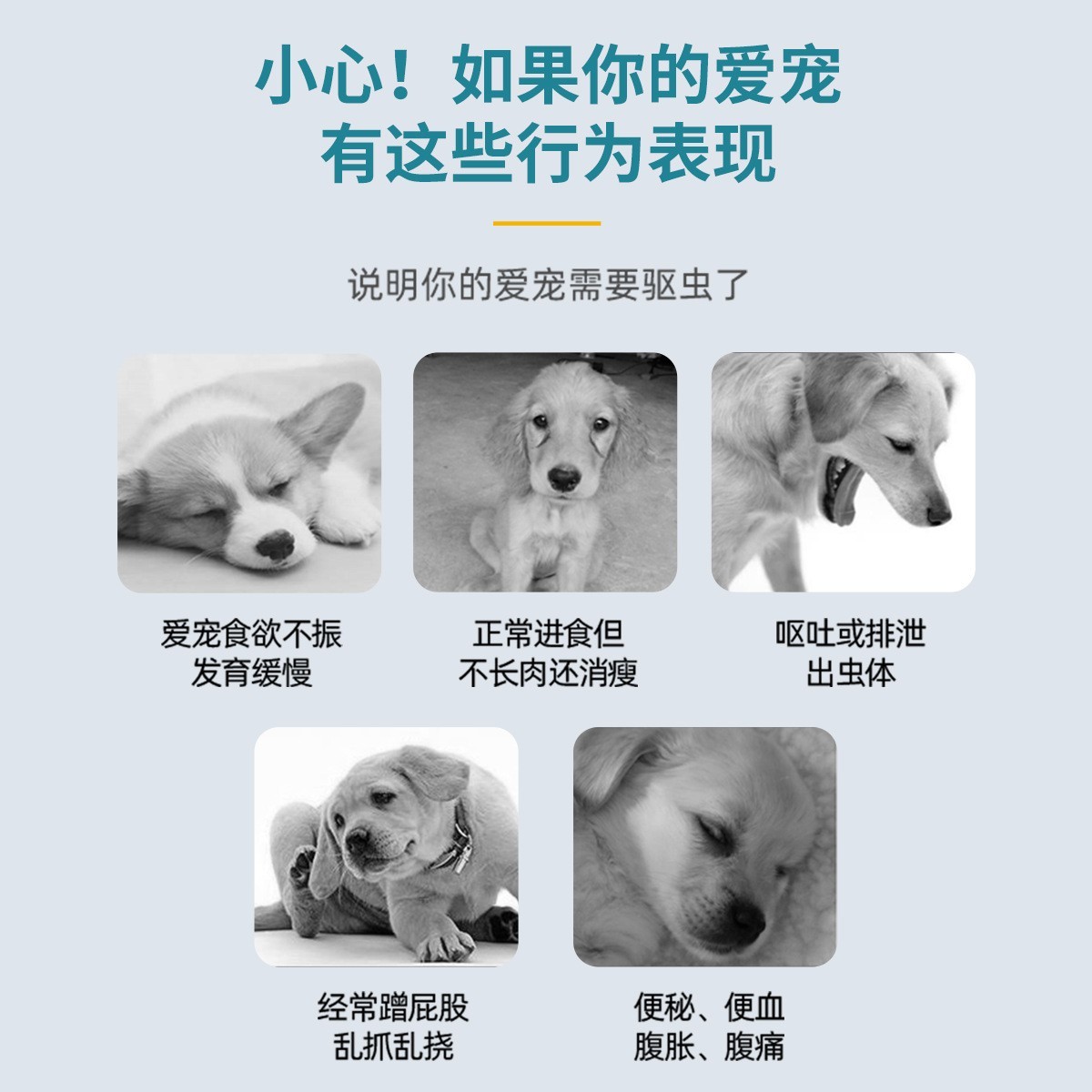 代加工宠物体内驱虫药阿苯达唑片猫狗除虫药犬用兽用猫狗通用驱虫图2
