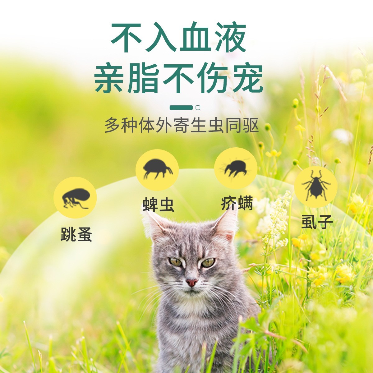 厂家代加工非泼罗尼滴剂宠物猫用体外驱虫药3支装可授权贴牌图2