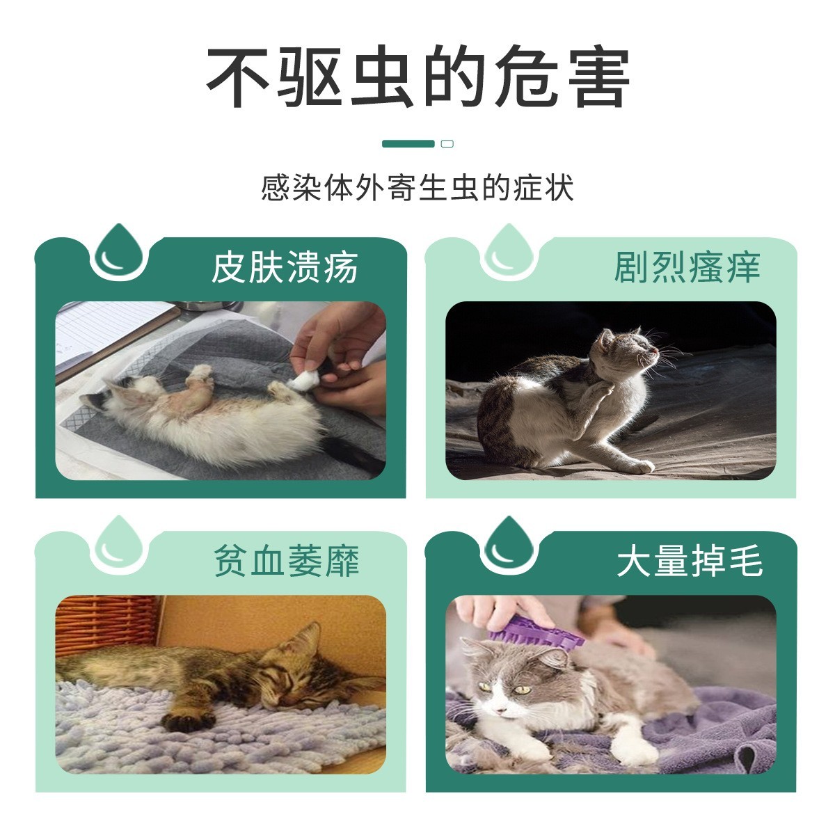 厂家代加工非泼罗尼滴剂宠物猫用体外驱虫药3支装可授权贴牌图3