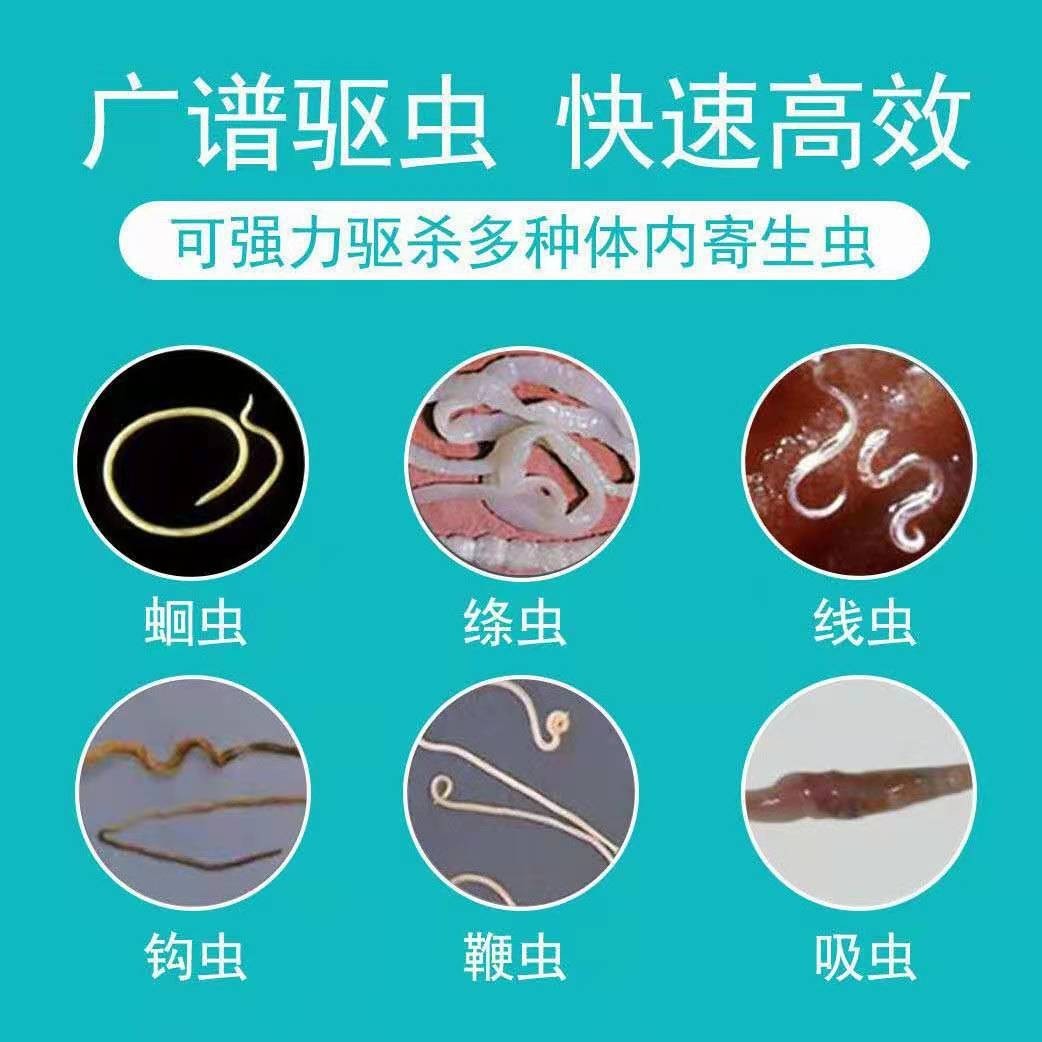贴牌狗猫咪兔驱虫宠物阿苯达唑片杀线绦吸蛔蠕虫体内外一体打虫药图3