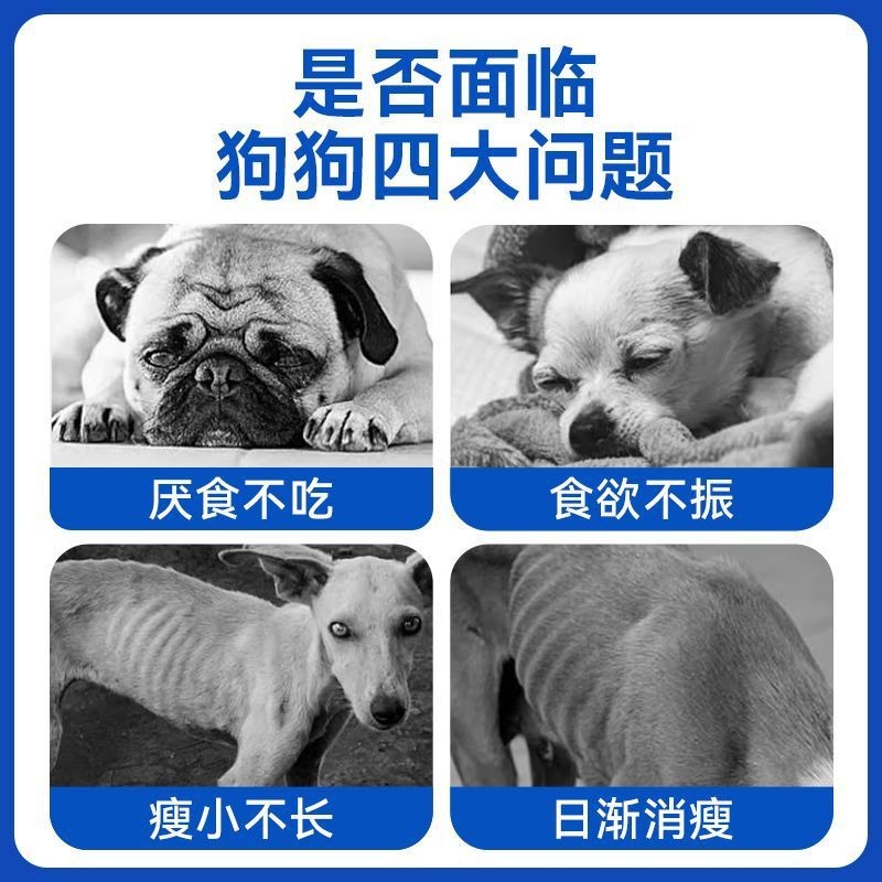 宠物营养补充剂膘肥宝贴牌宠物猫狗营养挑食厌食营养补充剂代加工图4