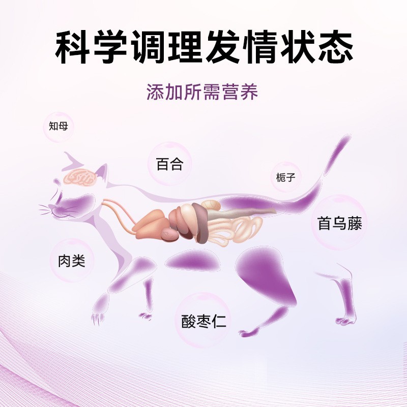 猫咪猫宁片抑情片贴瓶代加工宠物猫抑制发情禁情片定制宠物猫宁片图3